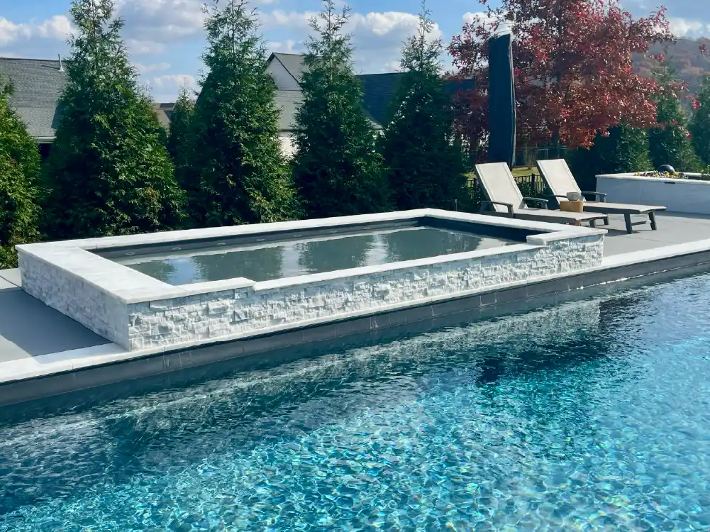 Backyard pool with spa and tanning ledge