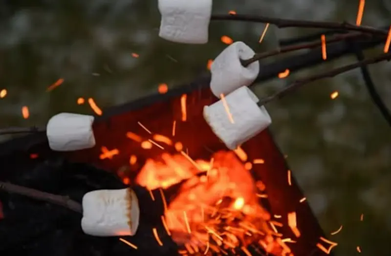 cosy backyard moments by the pool